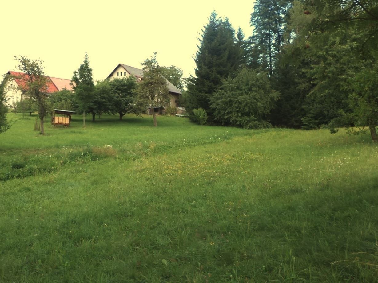 Prodej pozemek - Pěčín, 5 m²