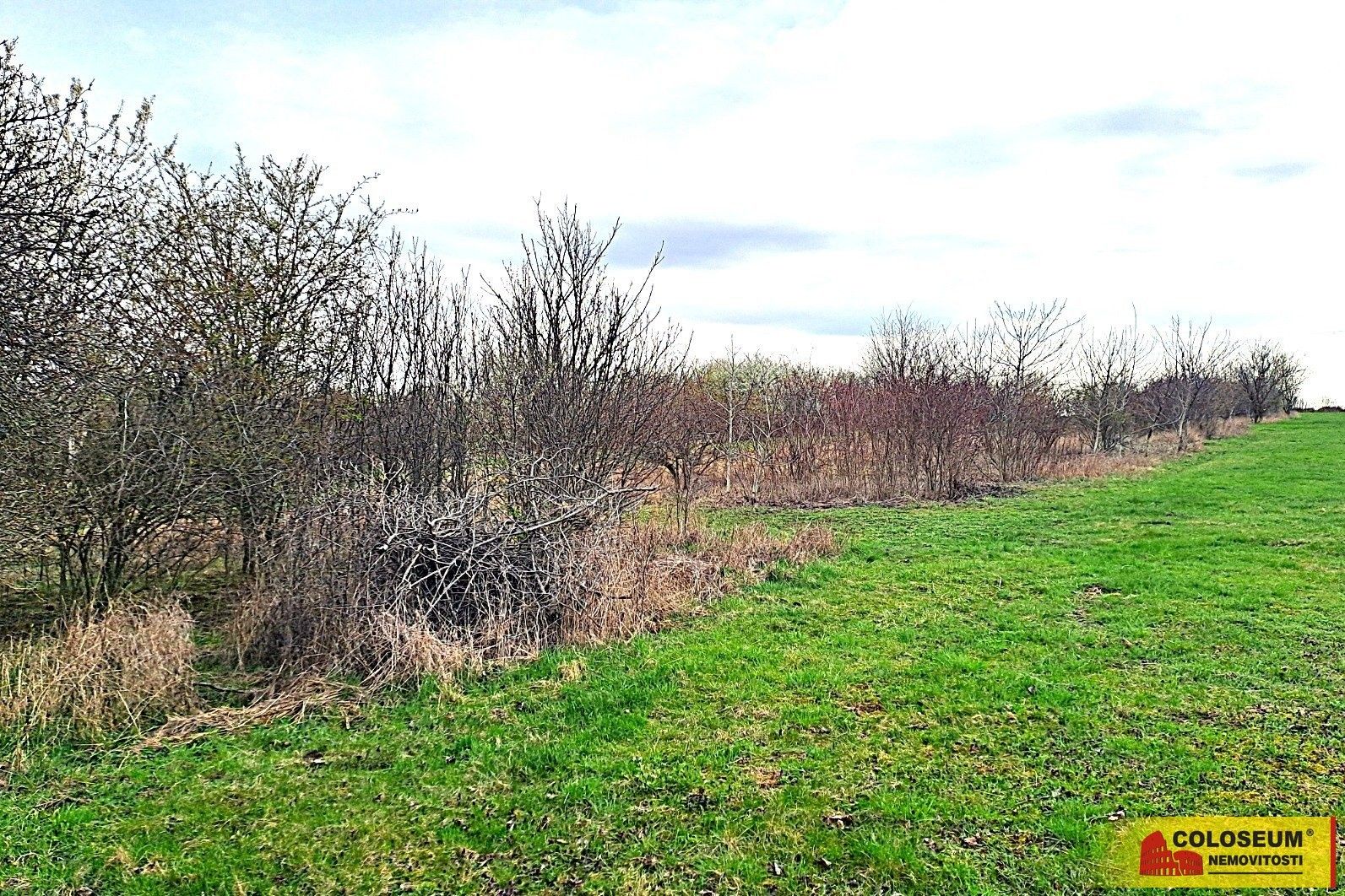 Zahrady, Brno - 1