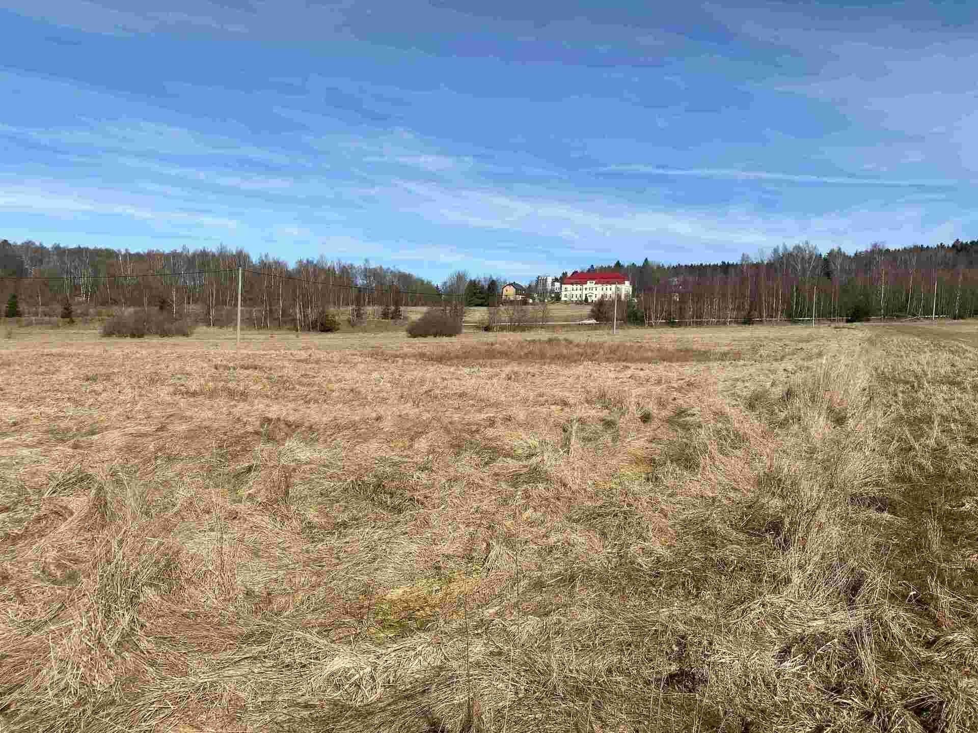 Prodej zemědělský pozemek - Nový Žďár, Aš, 3 m²