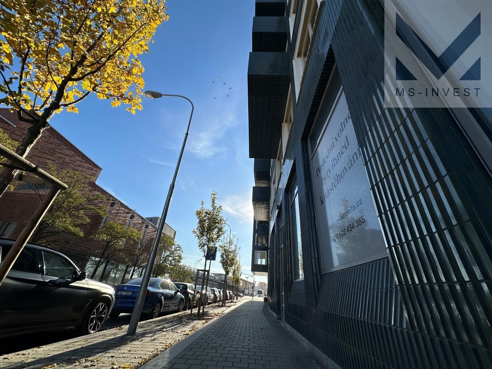 Pronájem obchodní prostory - Trnitá, Brno, 126 m²