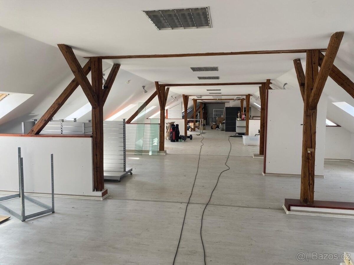 Obchodní prostory, Praha, 110 00