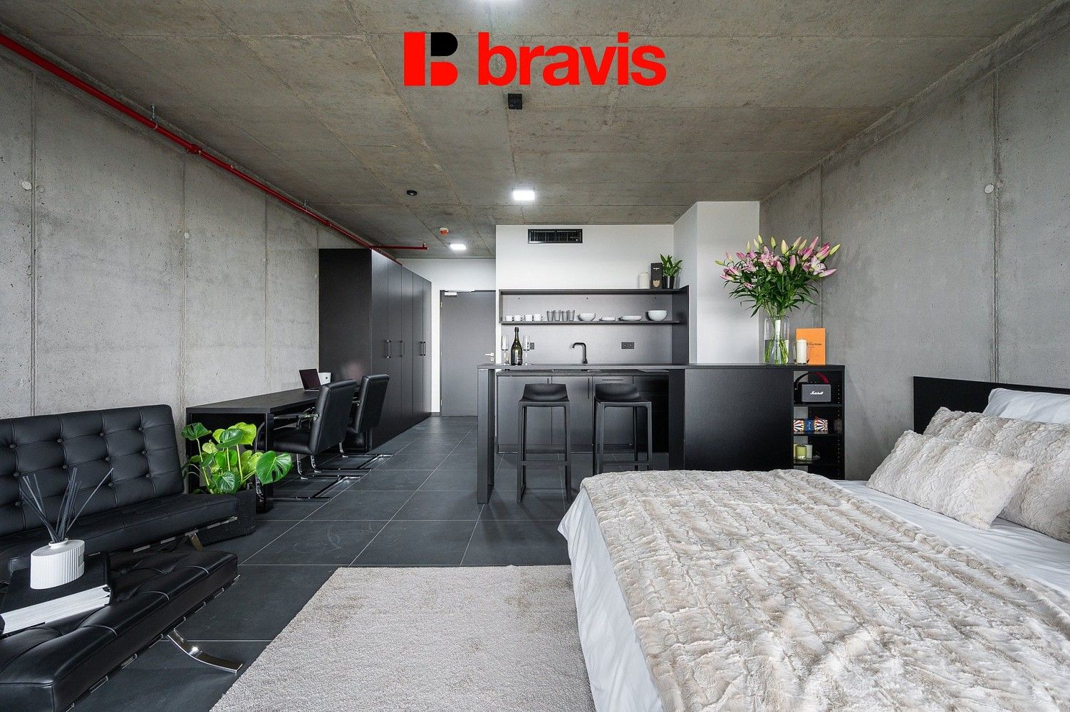 1+kk, Brno - Žabovřesky, okres Brno-město, Jihomoravský kraj, 34 m² - 2