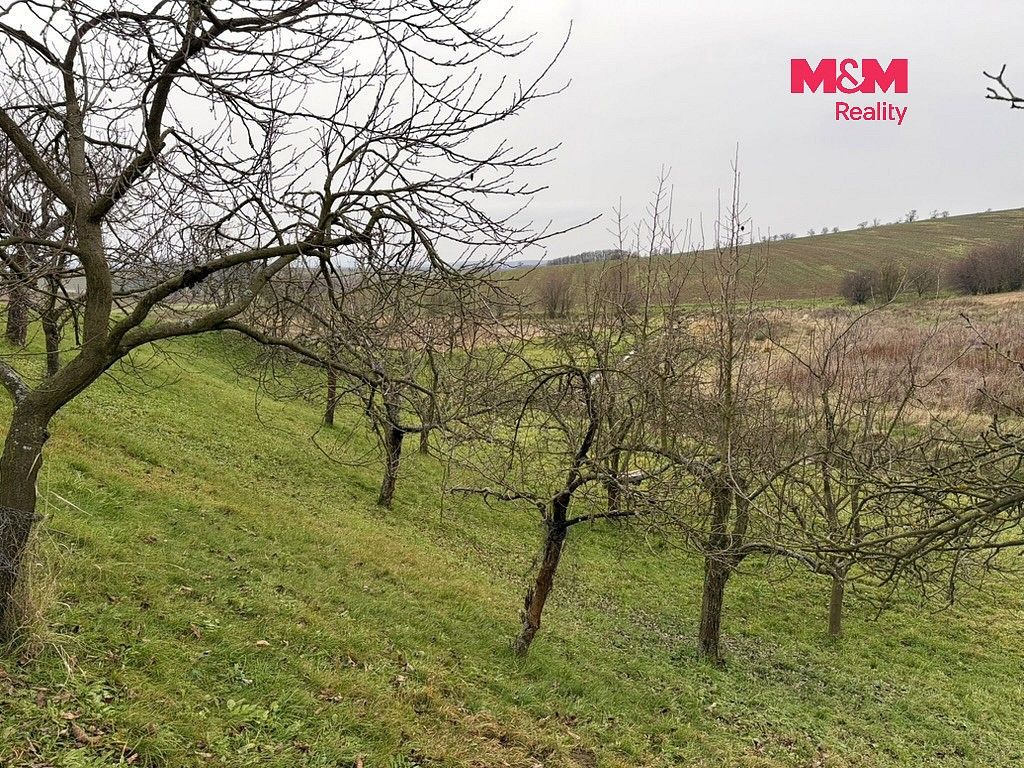 Prodej zahrada - Bezuchov, okres Přerov, Olomoucký kraj - 2