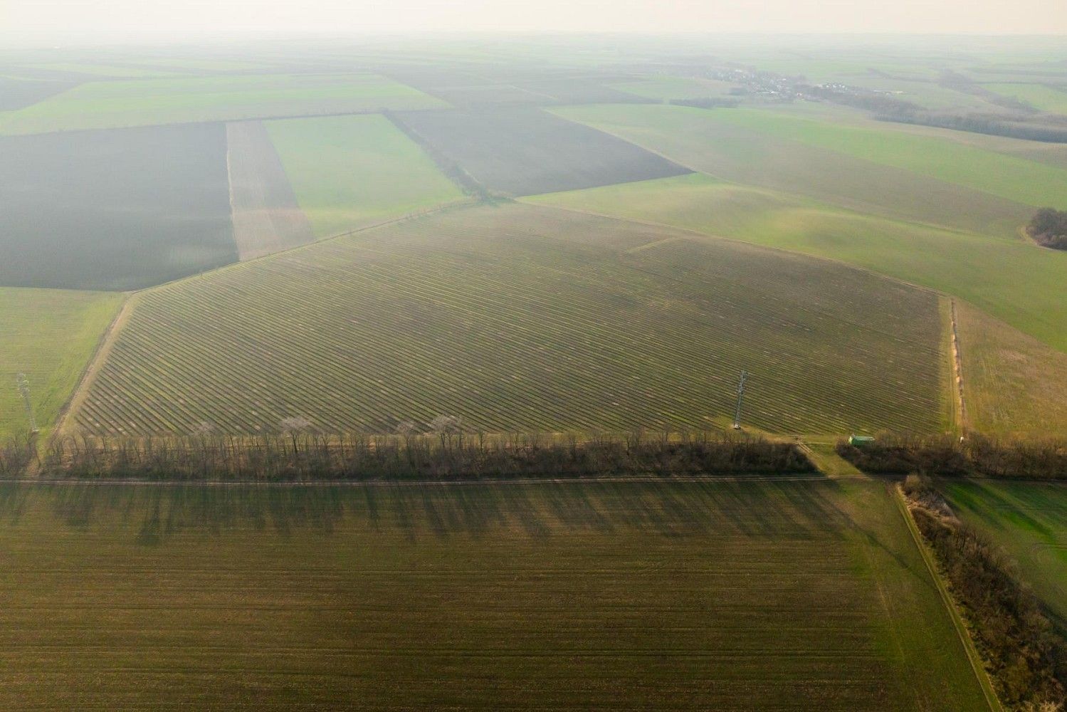 Zemědělský pozemek · Troskotovice, okres Brno-venkov, Jihomoravský kraj - 3