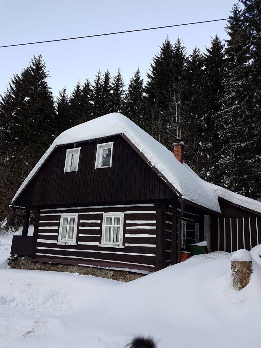 Chaty, Olešnice v Orlických horách, Královéhradecký kraj - 2