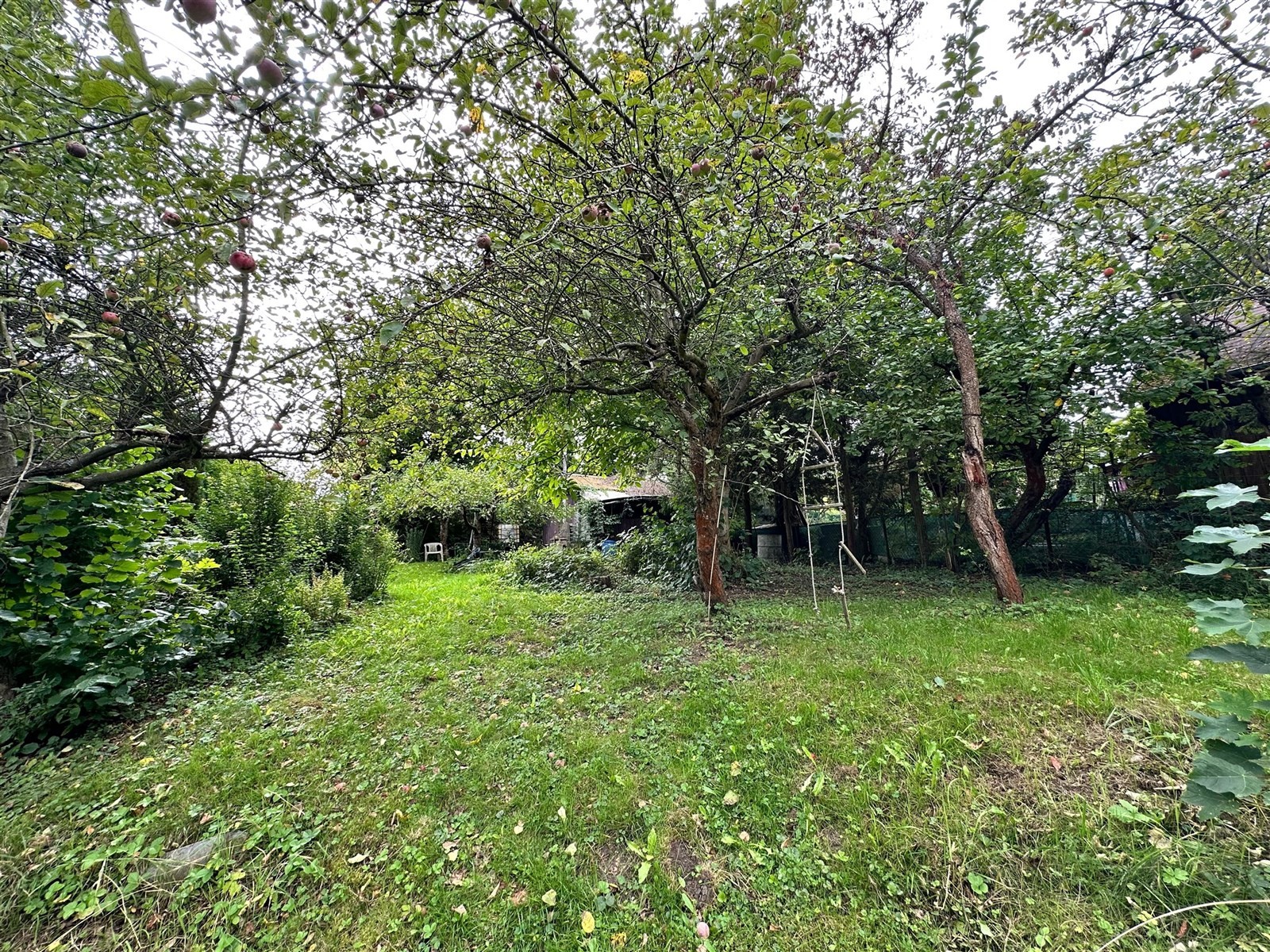 Prodej zahrada - Děčín - 5