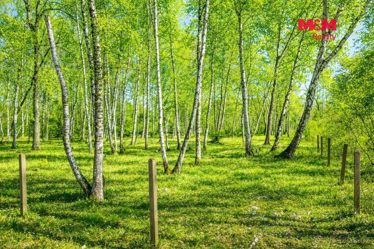 Prodej pozemek pro bydlení - Sadská, 289 12 - 5