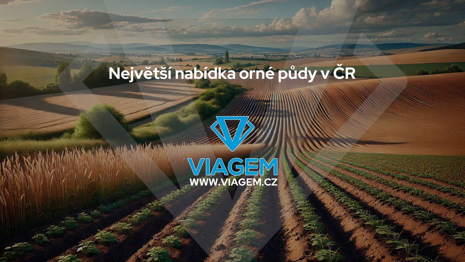 Prodej zemědělský pozemek - Hněvotín, okres Olomouc, Olomoucký kraj - 5