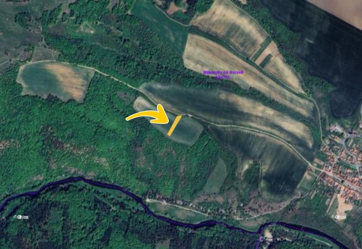 Prodej zemědělský pozemek - Biskoupky