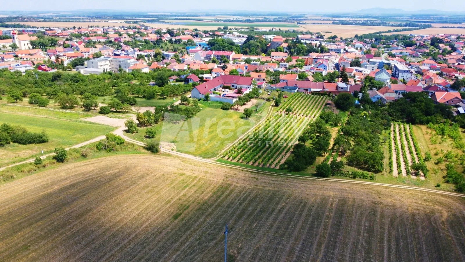 Ostatní