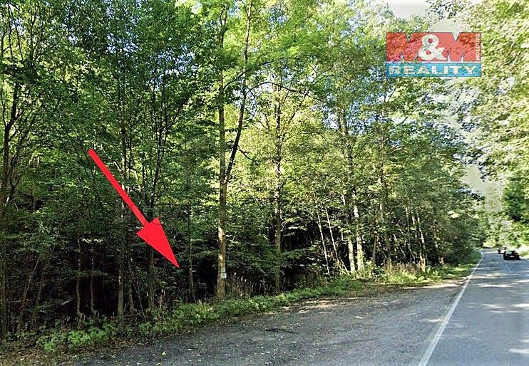 Rybník · Koberovy, okres Jablonec nad Nisou, Liberecký kraj - 3