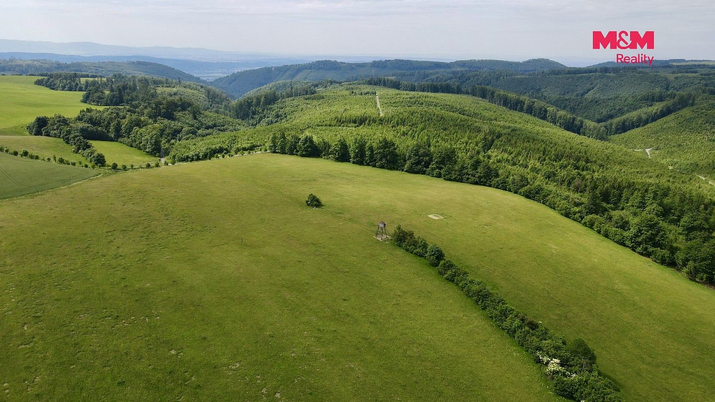Louka · Hranice, okres Přerov, Olomoucký kraj - 3