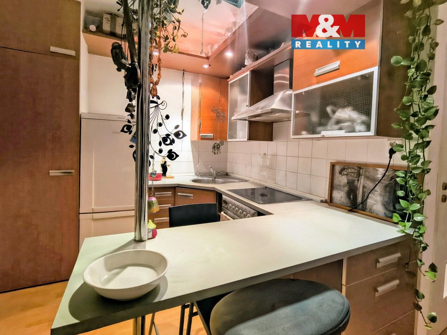 1+1, Heyrovského, Brno, 33 m²