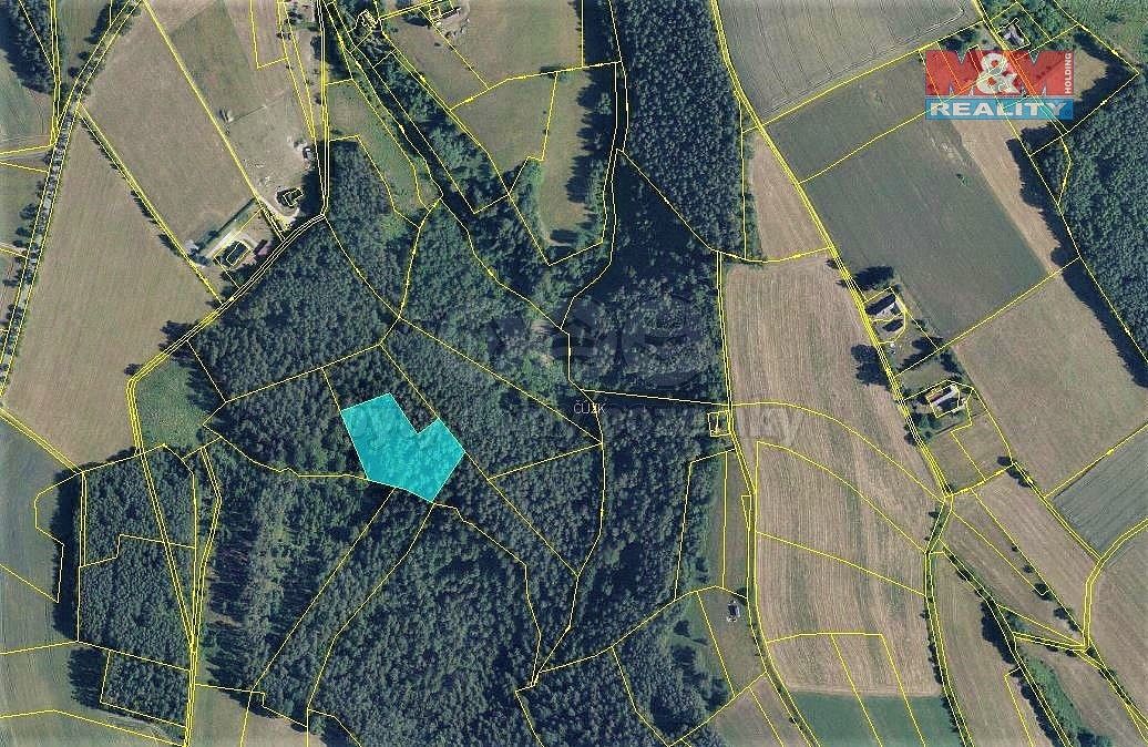 Lesy, Všelibice, okres Liberec, Liberecký kraj - 1