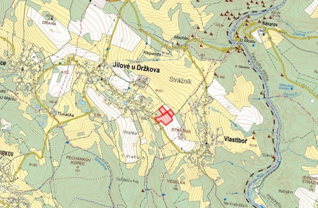 Louky, Jílové u Držkova - 2