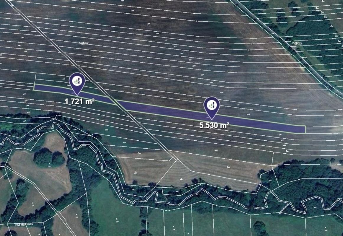 Zemědělské pozemky, Javorník, 8 539 m²