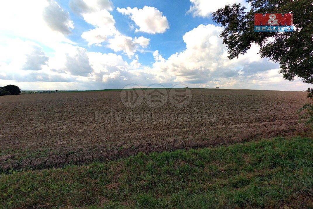 Zemědělské pozemky, Uhlířské Janovice, 285 04, 21 224 m²