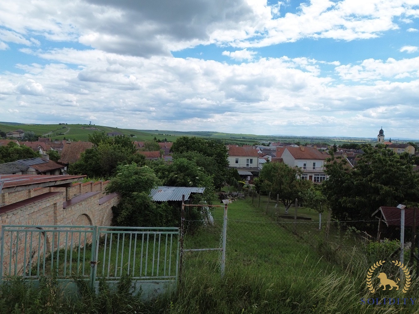 Zahrada · Pod Starou Horou, Velké Pavlovice, okres Břeclav - 3