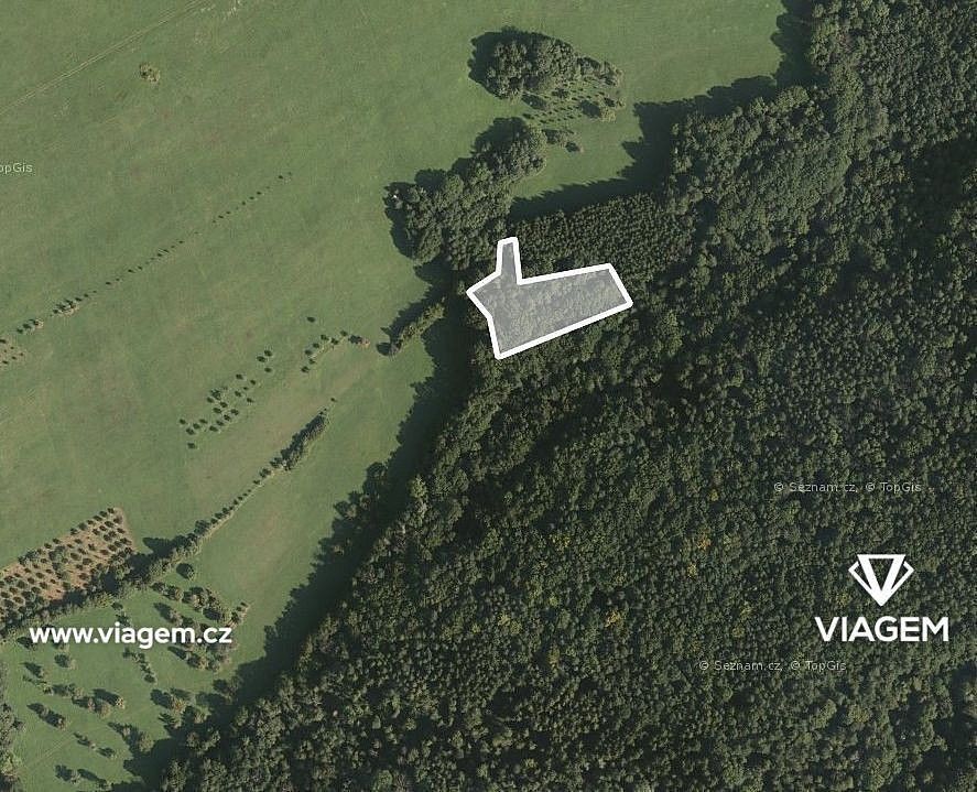 Lesy, Luhačovice, okres Zlín, Zlínský kraj