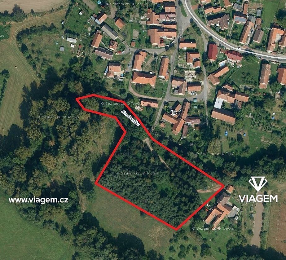 Les · Chroustovice, okres Chrudim, Pardubický kraj - 1