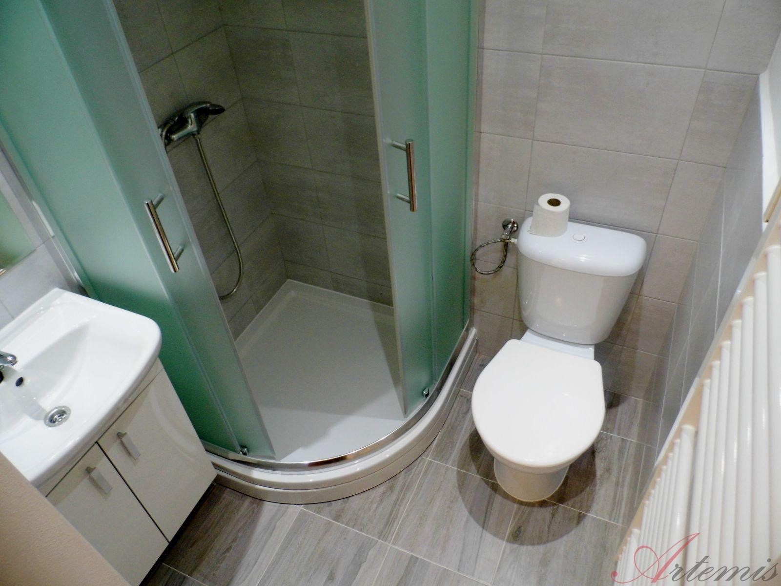 Pronájem byt 1+1 - Čujkovova, Ostrava, 30 m²