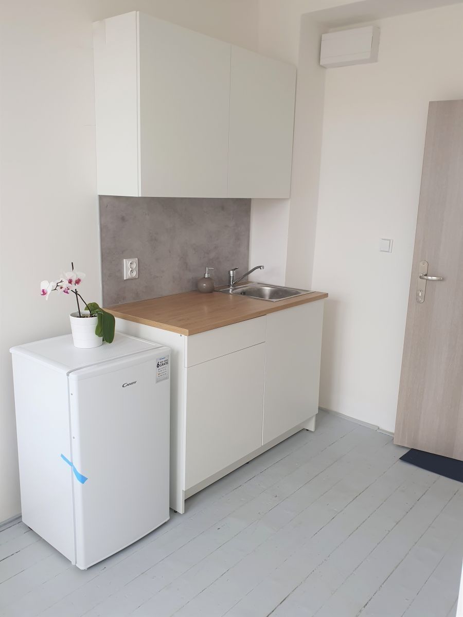 Pronájem byt 1+kk - Moskevská, Praha - Vršovice, 22 m² - 2