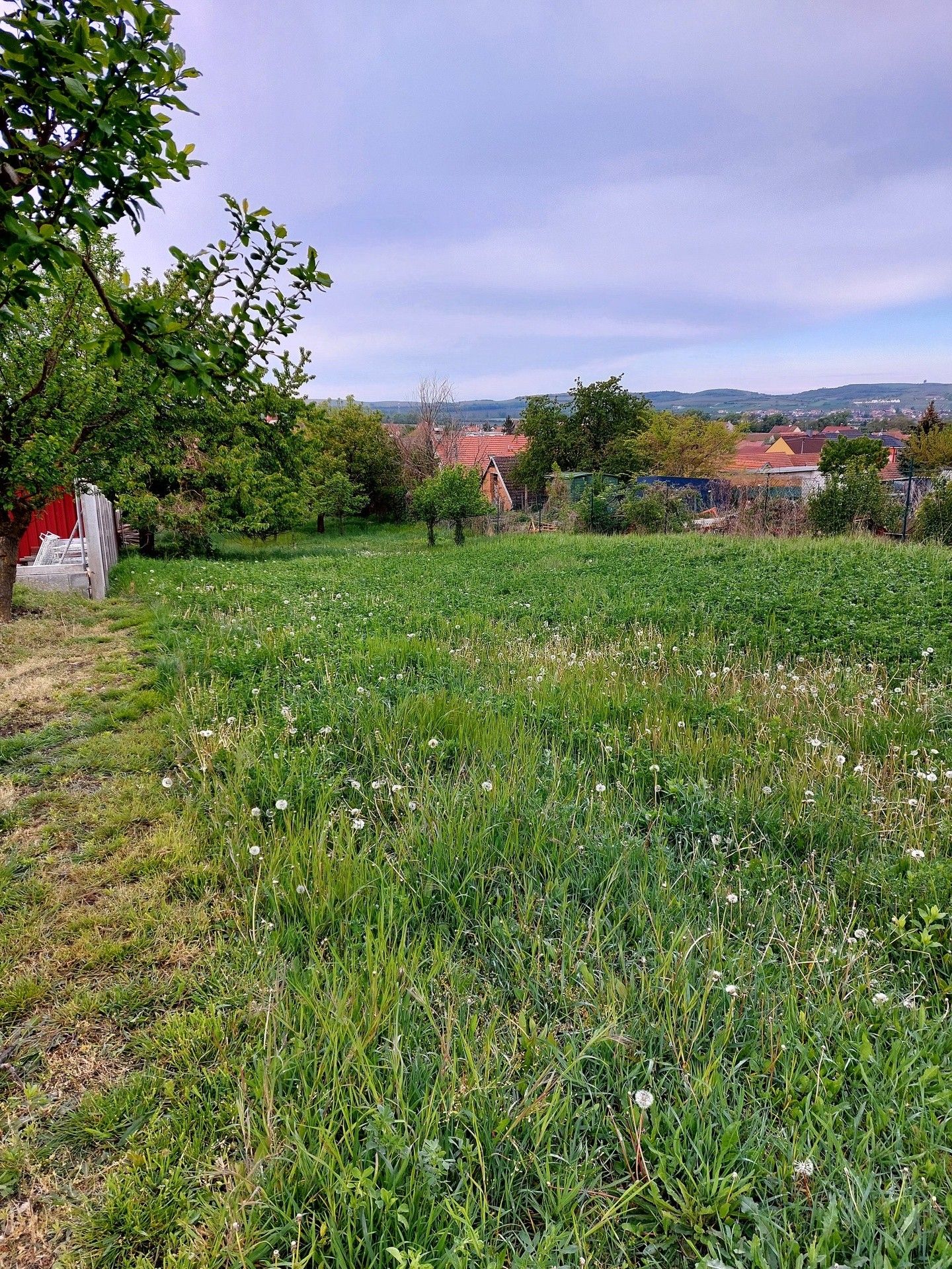 Prodej pozemek pro bydlení - Perná - 5