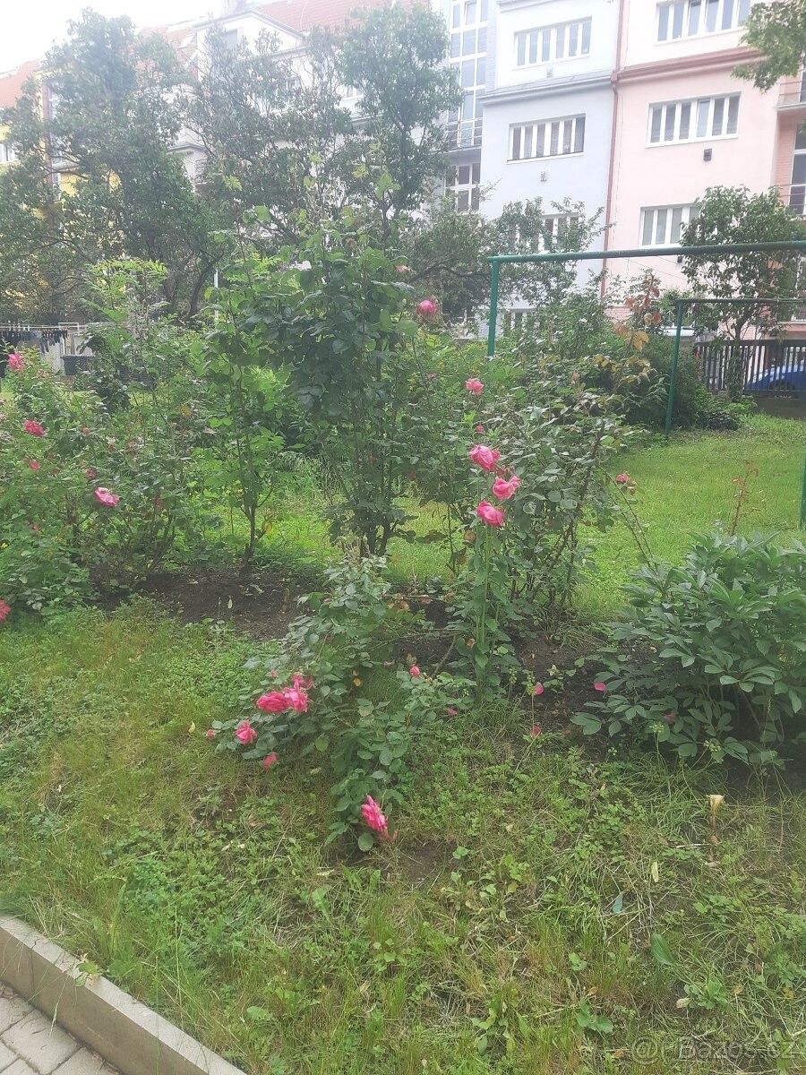 Pronájem byt - Praha, 140 00