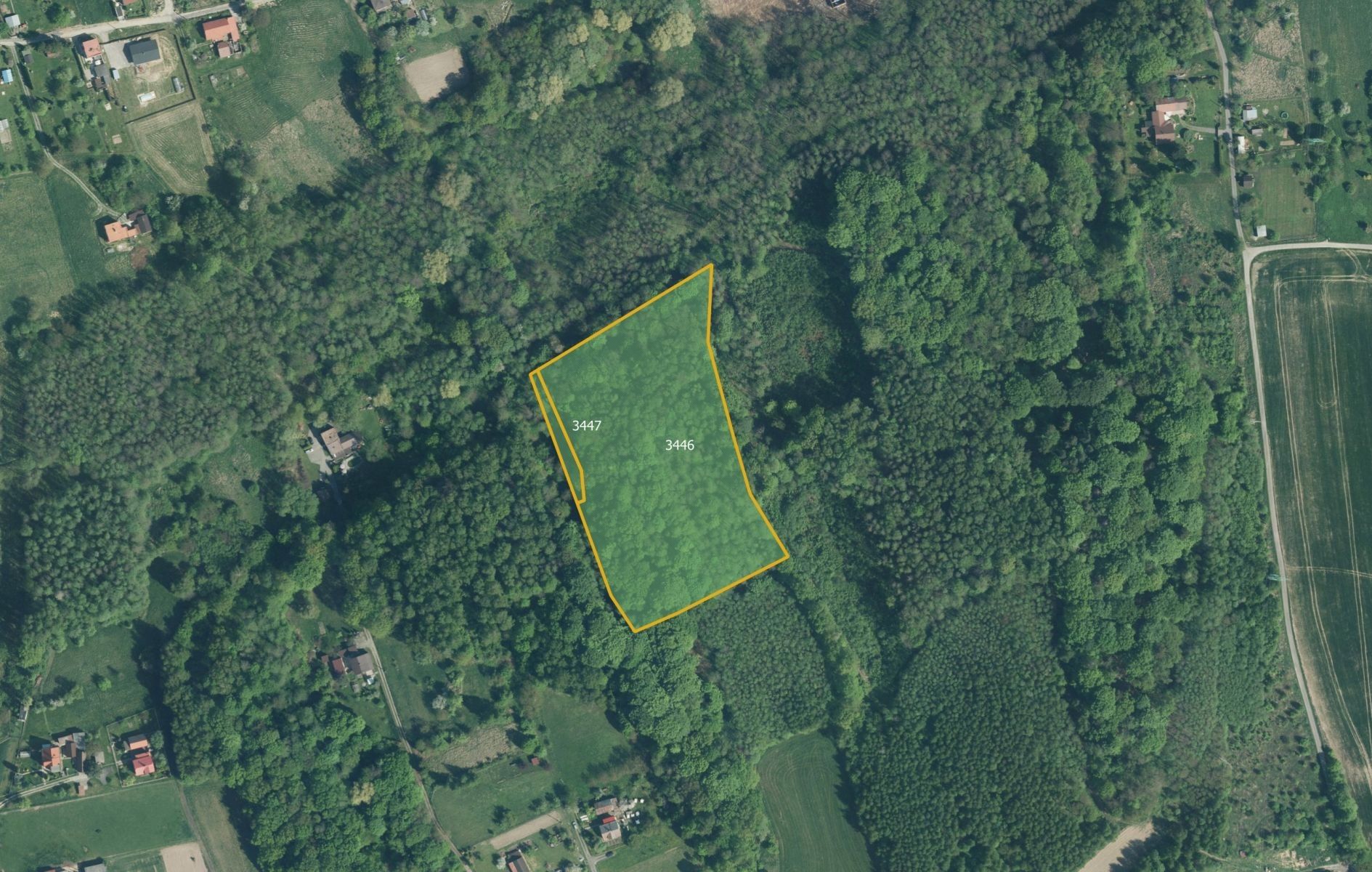 Prodej les - Doubrava