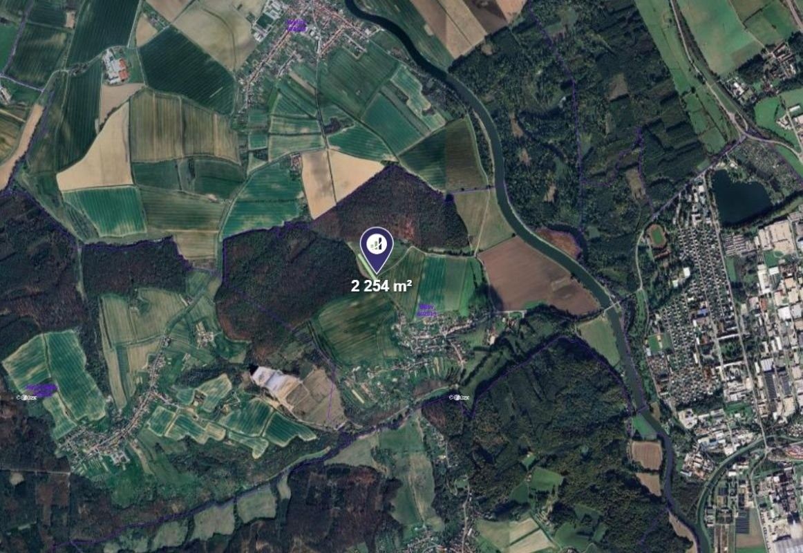 Zemědělské pozemky, Bělov, 2 254 m² - 2