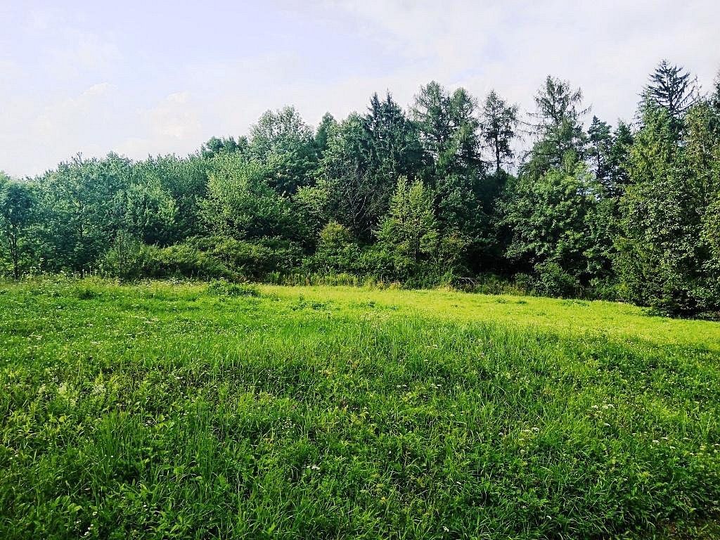 Zahrada, 3 200 m²