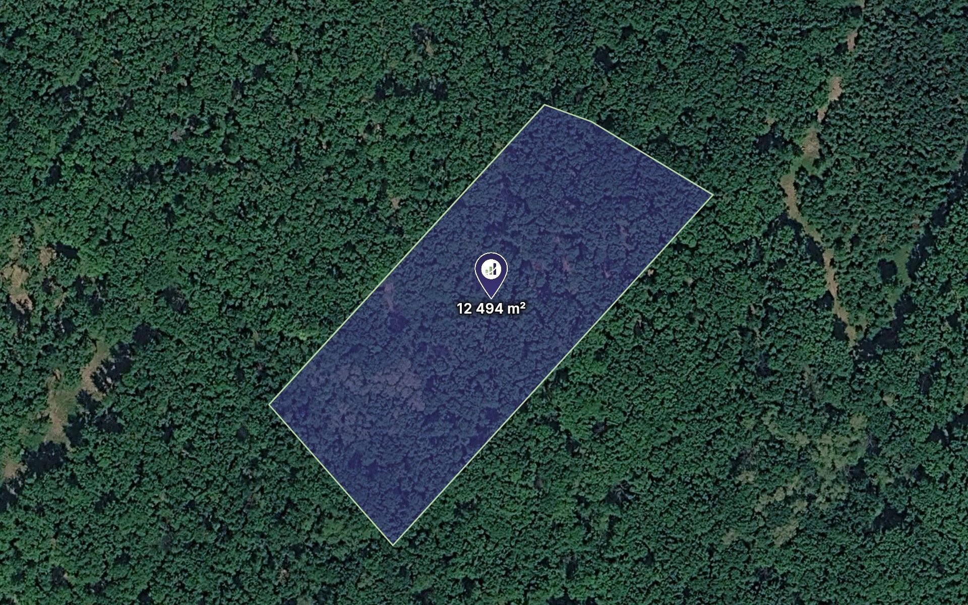 Lesy, Klobouky u Brna, 12 494 m² - 1