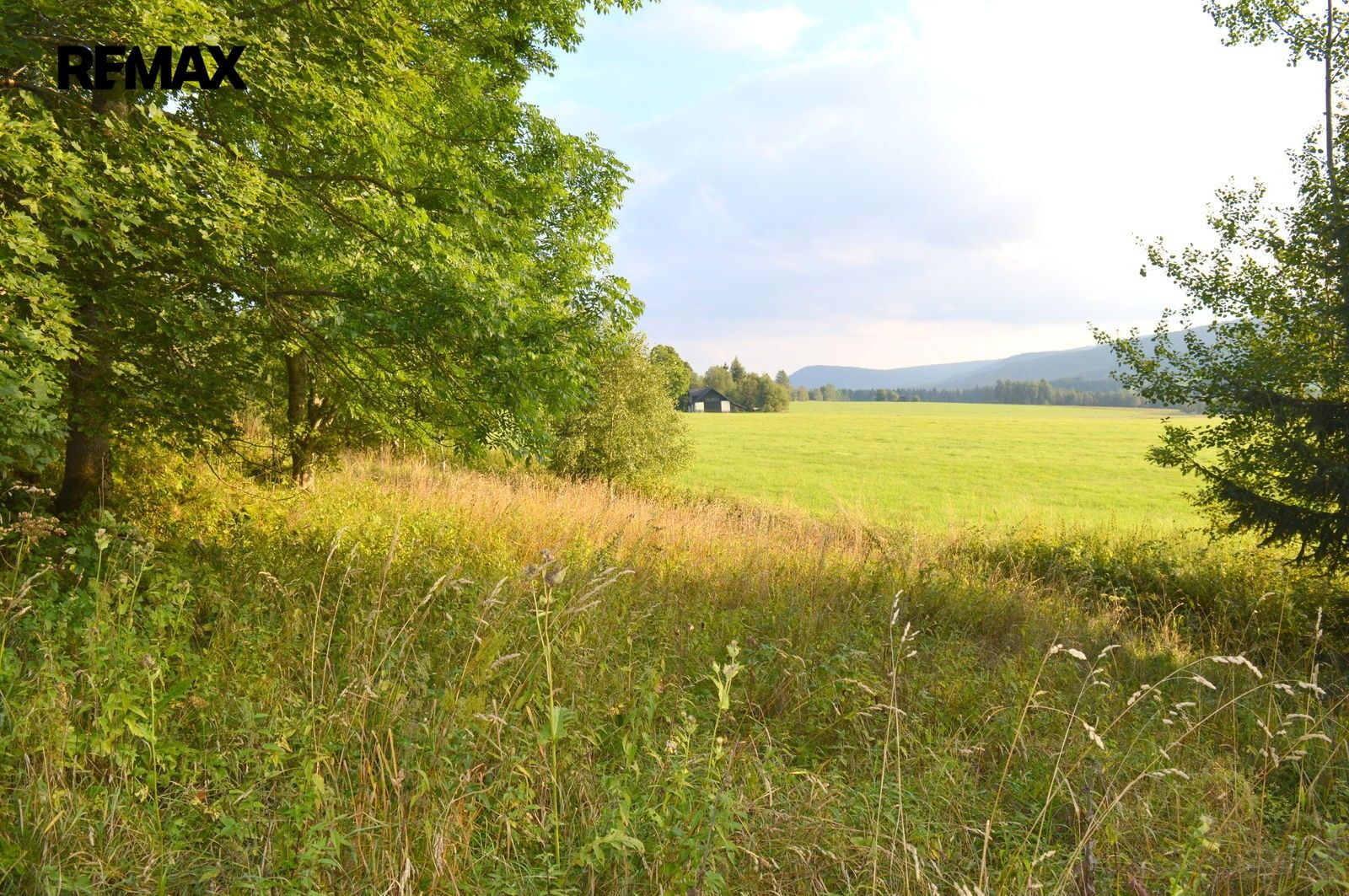 Pozemek · 8 040 m² · Borová Lada - 3