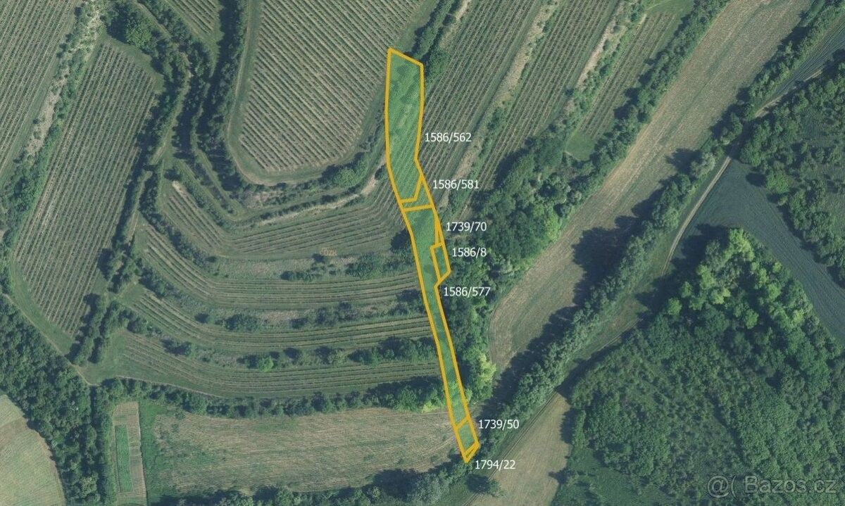 Pozemky pro bydlení, Uherčice u Hustopečí, 691 62