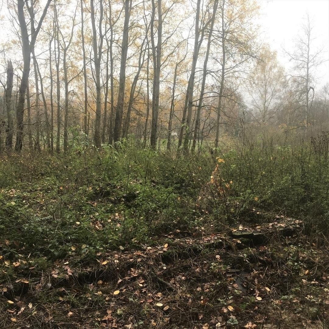 Prodej pozemek pro bydlení - Lindava, 471 58