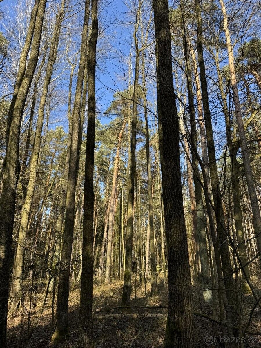 Prodej pozemek pro bydlení - Soběslav, 392 01