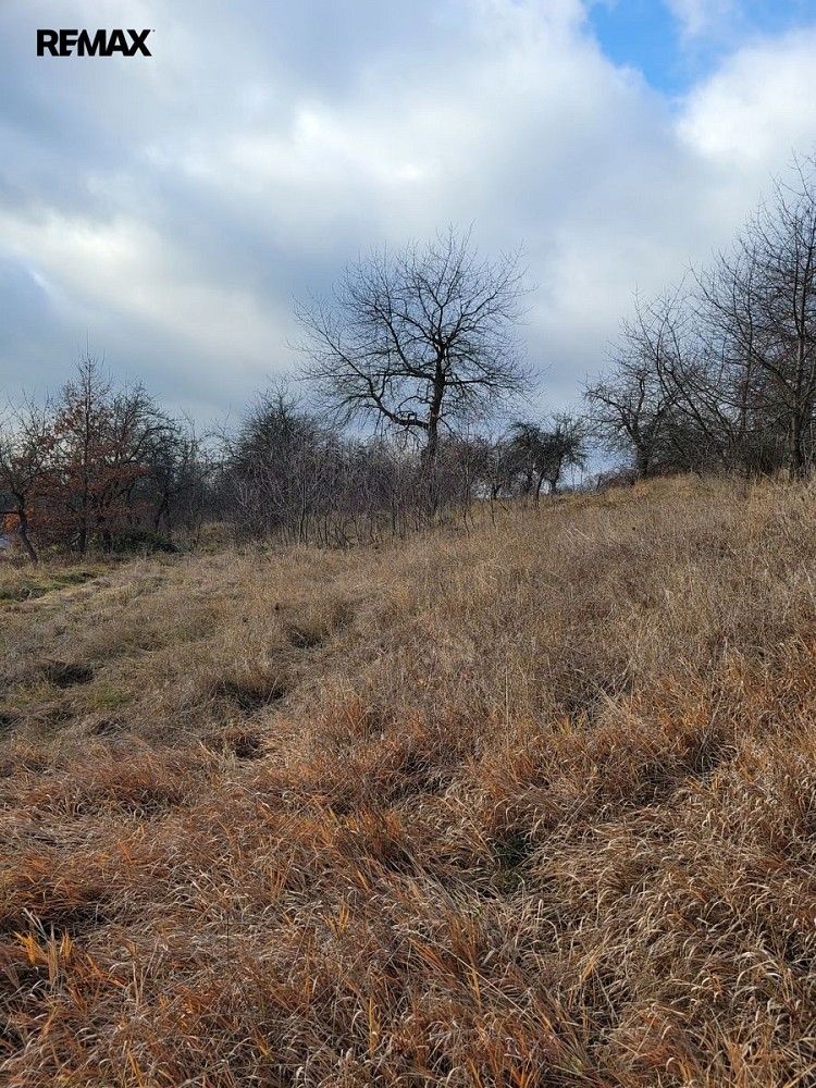 Louka · Třebsko, okres Příbram, Středočeský kraj - 4