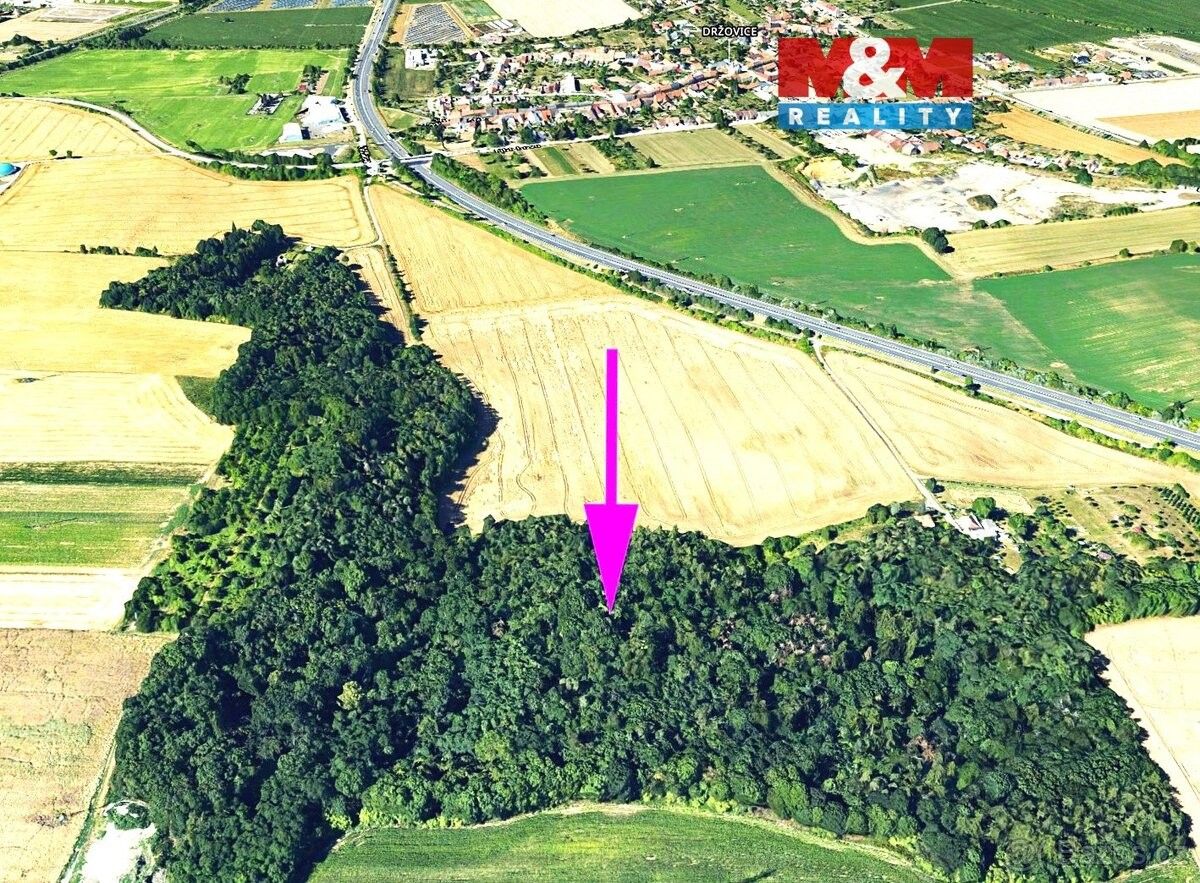 Pozemky pro bydlení, Držovice, 796 07