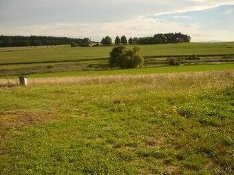 Prodej pozemek pro bydlení - Písek, 397 01