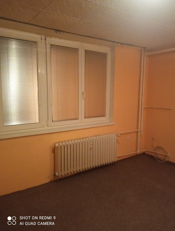 Pronájem byt 1+kk - Meziboří u Litvínova, 435 13, 35 m²