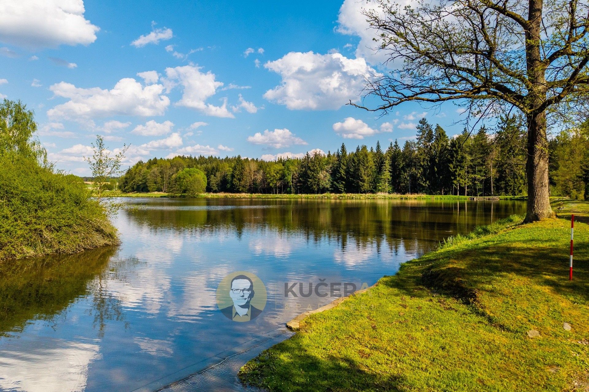 Prodej rybník - Dlouhá Lhota - 5