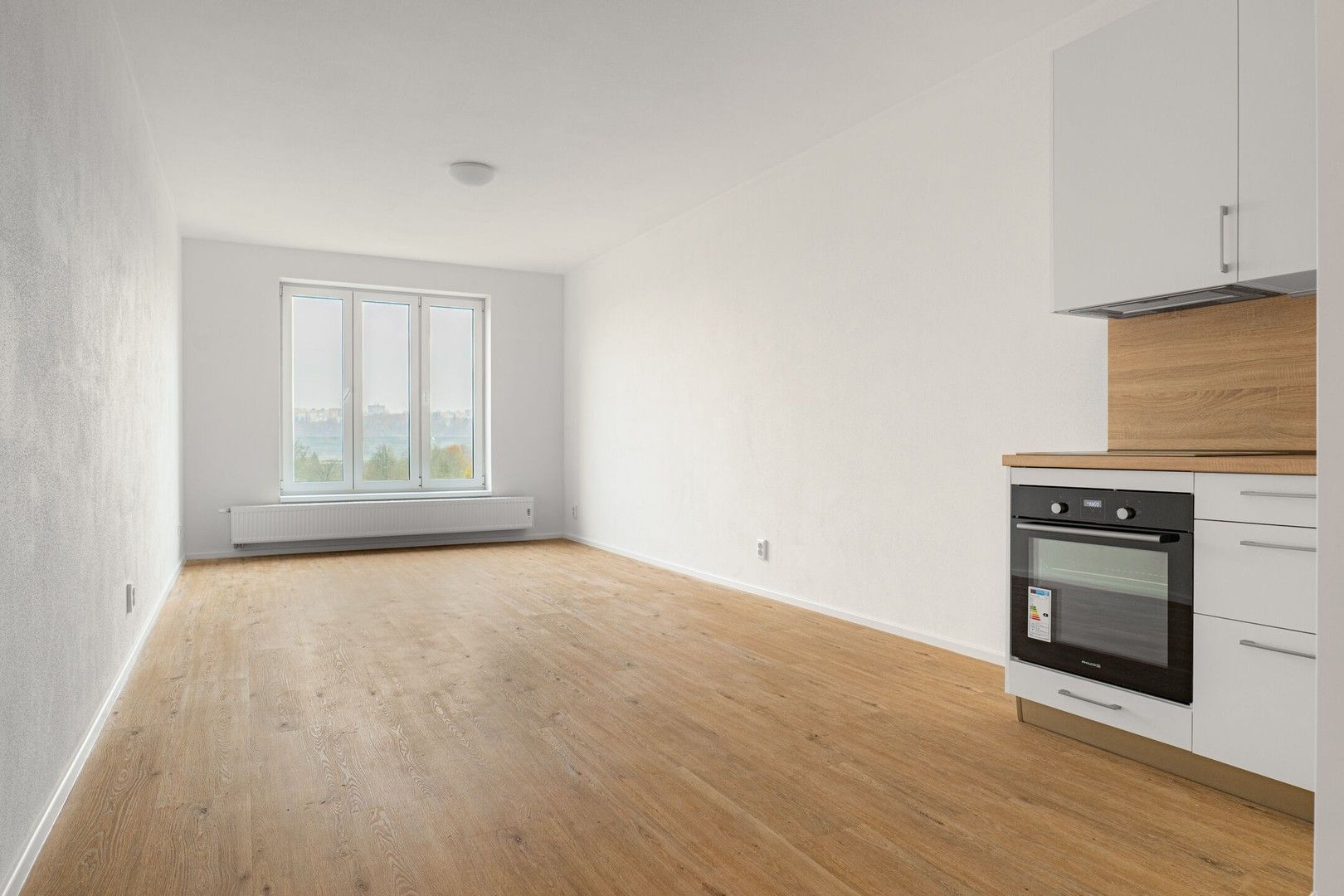 2+kk, Rybářská 223, Plzeň Jižní Předměstí, 54 m² - 1