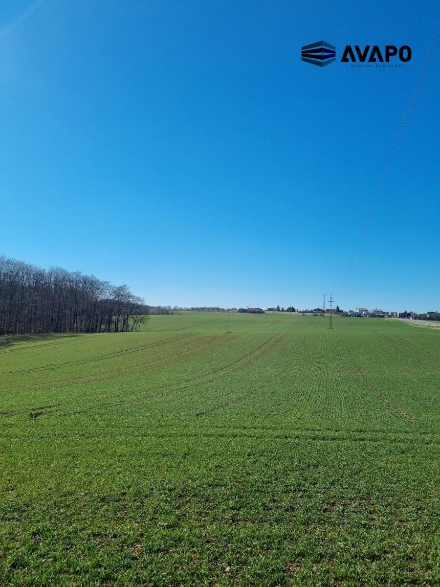 Zemědělský pozemek · 17 432 m² · Hrabyně - 4
