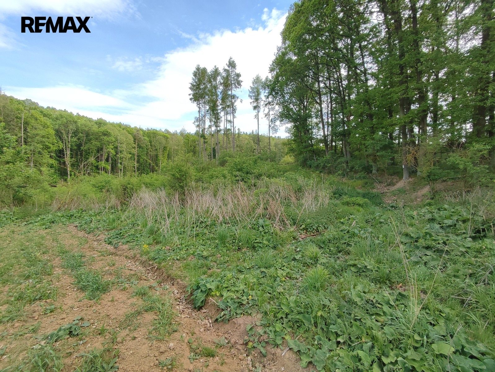Les · 17 681 m² · Číměř - 4
