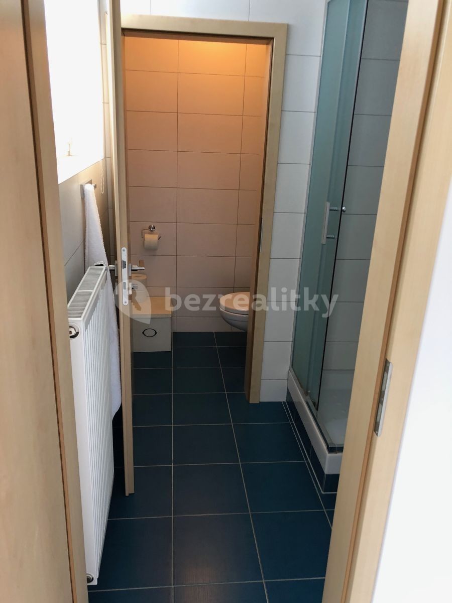 Pronájem byt 1+kk - V Horkách, Praha - Nusle, 44 m² - 5