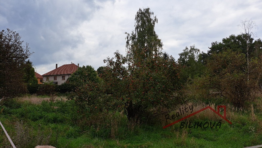Pozemek pro bydlení · 1 001 m² · Záryby - 4