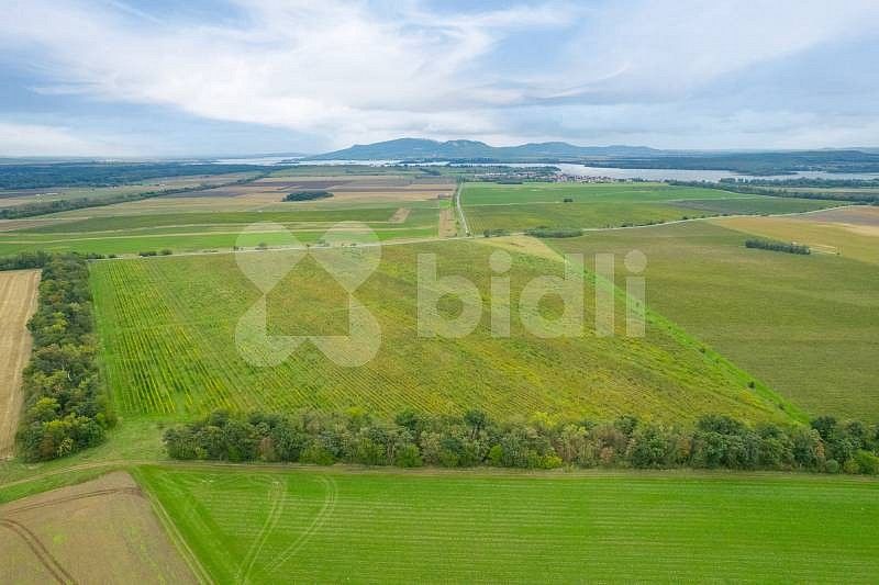 Zemědělský pozemek · Pohořelice - Nová Ves, okres Brno-venkov - 4