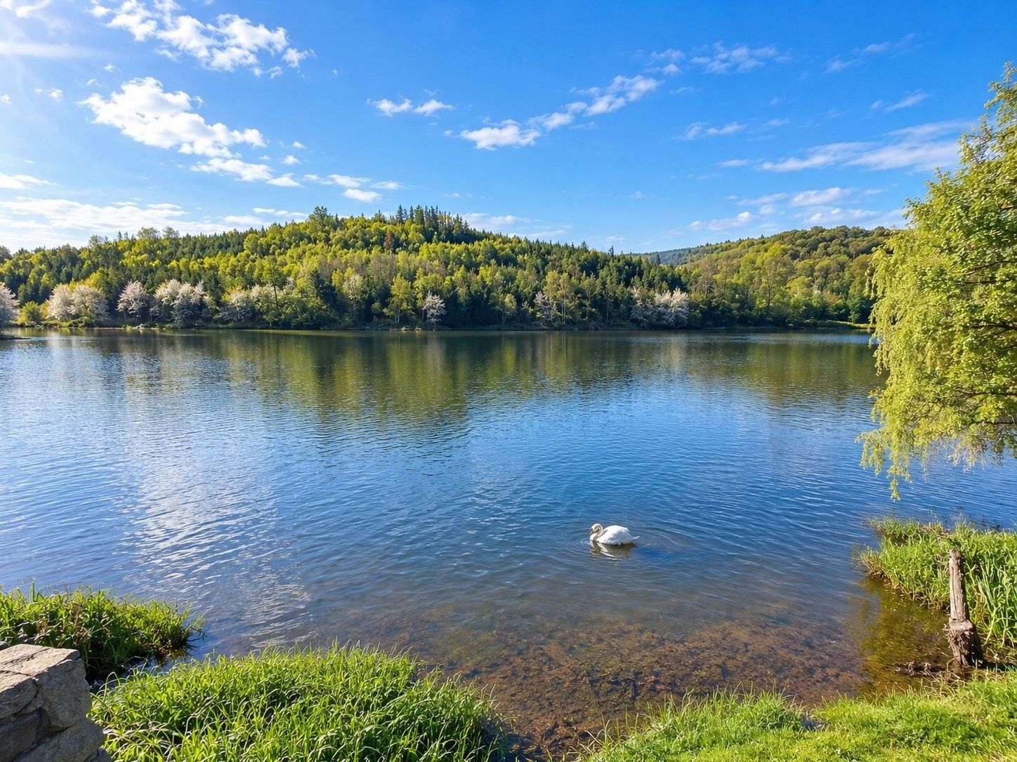 Zemědělská usedlost · 185 m² · Budeč - 4
