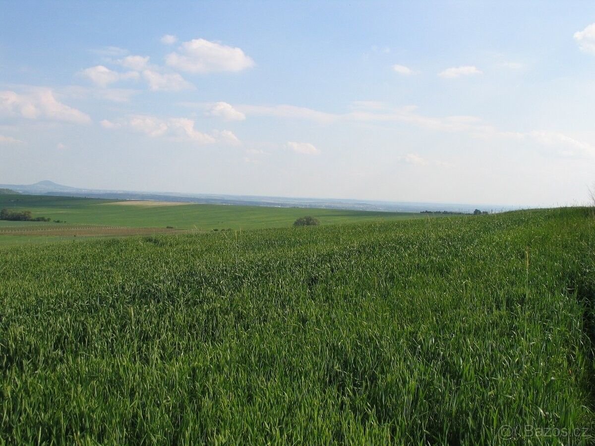 Pozemky pro bydlení, Litoměřice, 412 01