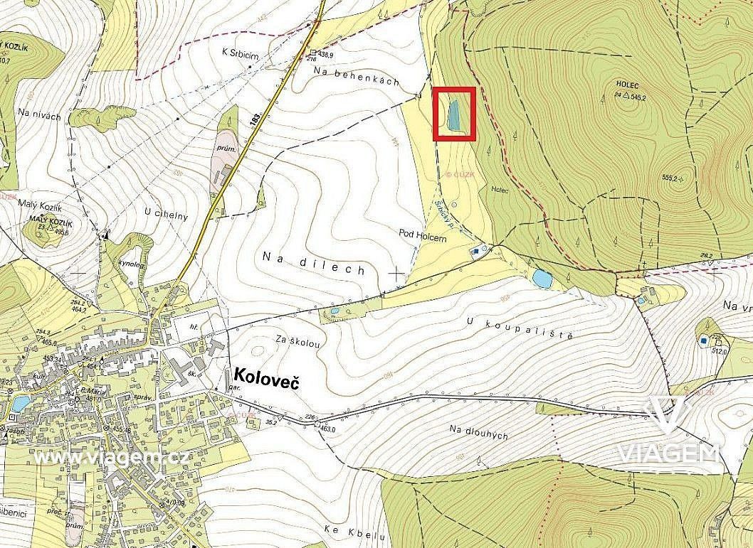 Les · Koloveč, okres Domažlice, Plzeňský kraj - 4